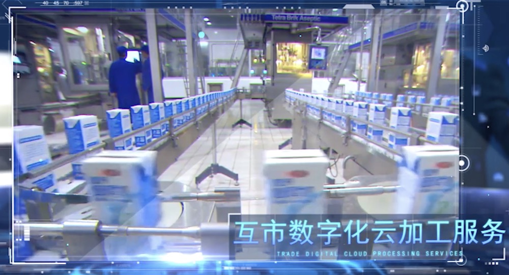 邊民互市落地加工生產(chǎn)系統(tǒng)